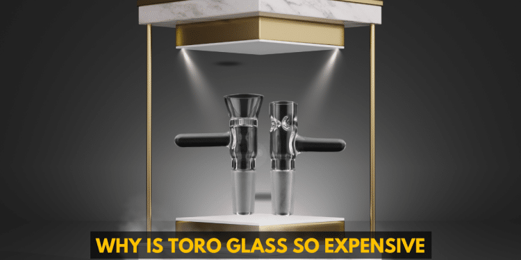 Why Is Toro Glass So Expensive?