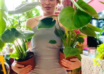 Meet Lida Mankovskaya, Who Is Taking over the World of Houseplants with Spirit Plants
