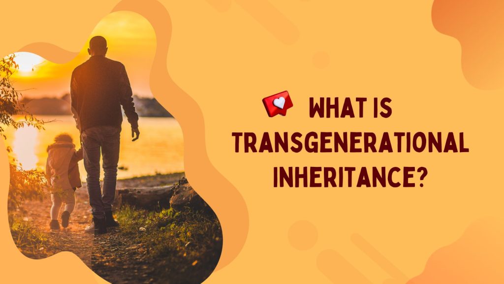 What is transgenerational inheritance?