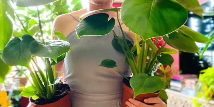 Meet Lida Mankovskaya, Who Is Taking over the World of Houseplants with Spirit Plants